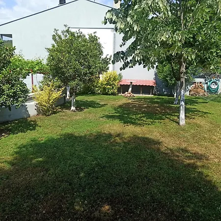 Oasis Apartment