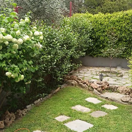 Apartament Oasis